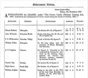 john-mcgaveston-nelson-examiner-and-new-zealand-chronicle-volume-xxvi-issue-136-12-november-1867