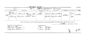 Alexander Heaney Marriage 1871