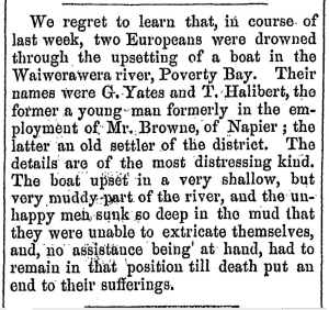 Thomas Halbert Hawke's Bay Herald, Volume 8, Issue 607, 6 May 1865, Page 3