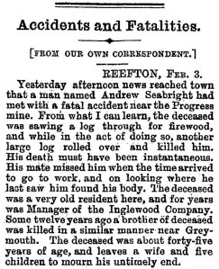 Andrew Seabright - Star , Issue 6462, 4 February 1889, Page 4