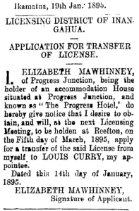 Elizabeth Mawhinney - Inangahua Times, Volume XVIII, Issue 503, 21 January 1895, Page 3